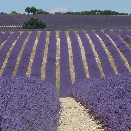 Lägenhet Classe Provence Luberon En Rdc -
