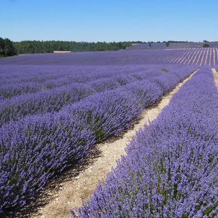 Classe Provence Luberon En Rdc - Forcalquier